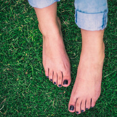 green grass 06