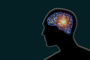 Illustration human brain and nerve or blood vessel concept in head on dark green background,