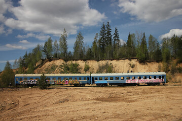 Fototapeta na wymiar train in the forest