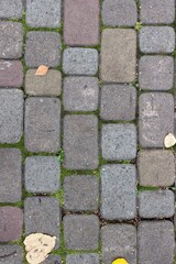 stone pavement in the city