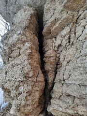 texture