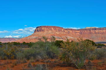 USA, Utah. Canyonlands National Park, Needles Area.