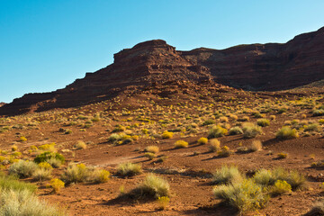 USA, Utah, Fry Canyon