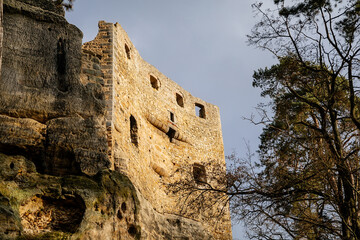 Fototapete bei efototapeten.de bestellen   