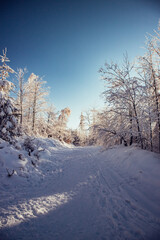 Winter am Rennsteig