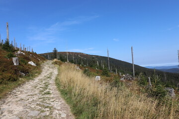 Fototapeta premium A view to the bare peak of the hill Kralicky Sneznik and surounding landscape at Czech republic
