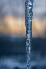 icicles on the cold winter morning.  The sun is just breaking over the horizon.  The backlighting of the Icicle shows the bubbles inside the ice.   Windsor in Broome County in Upstate NY.
