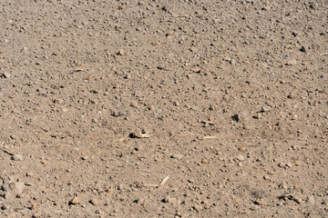 empty clean agriculture field, background and texture for design, copy space, eco farming and organic agriculture concept. The field after harvesting.