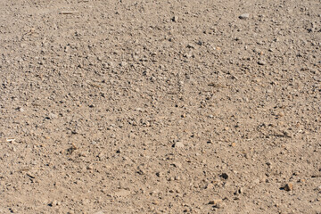 empty clean agriculture field, background and texture for design, copy space, eco farming and organic agriculture concept. The field after harvesting.