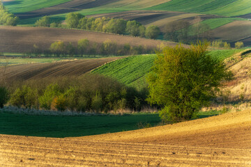 Fototapeta na wymiar Beautiful spring rural landscape with plowed fields