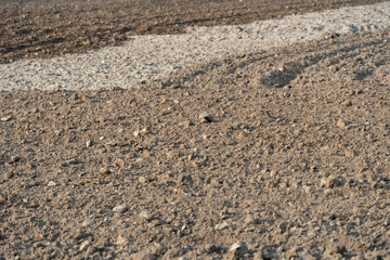 empty clean agriculture field, background and texture for design, copy space, eco farming and organic agriculture concept. There are traces of wheeled harvesting equipment on the sand.