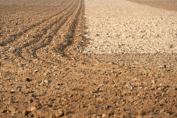 empty clean agricultural field, background and texture for design. The border of the soil of different color and composition. Traces of wheeled harvesting equipment are visible on the sand.