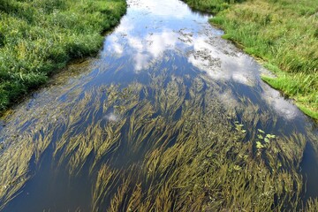 river, water, active recreation, Biebrza, © Albin Marciniak