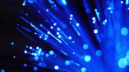 Close up of fiber optics