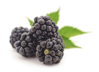 Closeup shot of fresh blackberries.