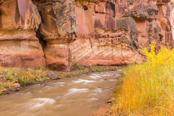 USA, Utah, Capitol Reef National Park. Fremont River and trees in autumn.