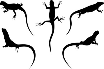 set of lizards black silhouette