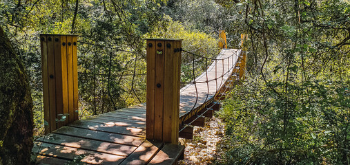 wooden bridge between vegetation