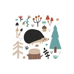 Fototapeten Cute hand drawn hedgehog and doodle forest plants isolated on white background. Pine tree, mushrooms, flowers, tree stump. Woodland spiny animal character in scandinavian style. Flat vector clip art © faveteart