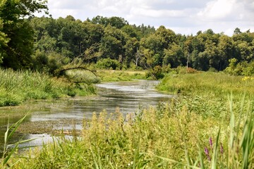 Fototapeta na wymiar river, water, active recreation, Biebrza,