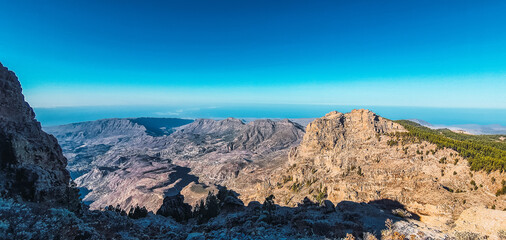 wooded area blue sky