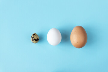Three type of different birds eggs isolated on blue paper background. Various size and kind choice...