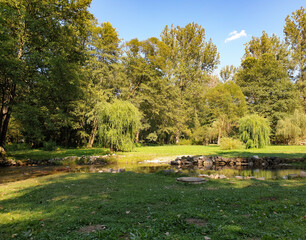 lake in the park