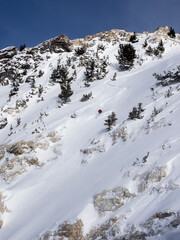 Fototapeta na wymiar Snowboarder enjoying fresh powder on steep slope, Wasatch Mountains near Alta, Utah, USA.