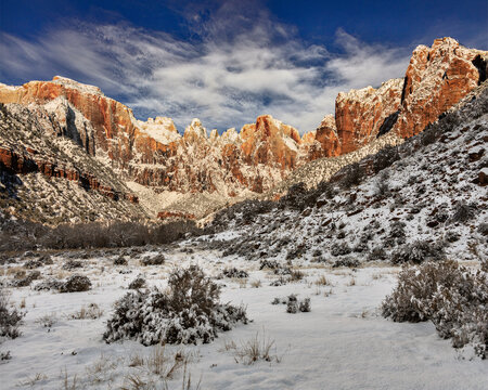 Zion In Winter.