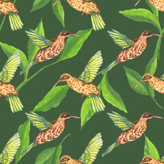 Watercolor seamless pattern. Botanical background with hummingbirds, leaves, branches and herbs. Design elements, birds. Perfect for textile, packing, fabric, invitations, cards.