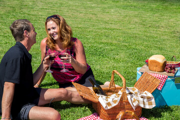 Loving middle aged couple having a picnic in the summer