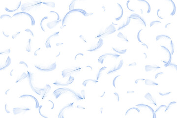 Feather banner. Pastel angel feather in pattern texture falling on white background. Glamorous sophisticated airy artistic image isolated on white.