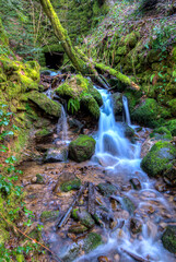 Creek in the Black Forest, Germany