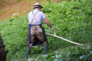 Sensenmähen im Salzkammergut, Oberösterreich, Österreich, Europa - Scythe mowing in the...