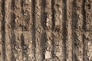 dry soil with tyre mark close up as background and texture