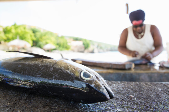Fisherman preparing fresh tuna on Westpunt beach, Curacao, Caribbean