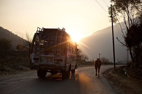Tourist bus and horse on road. Sonamarg Valley, Jammu & Kashmir, India