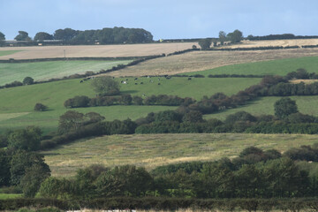 Fototapeta na wymiar Rural fields Yorkshire