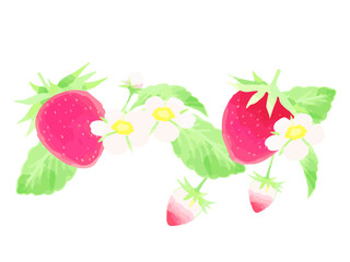 水彩風いちごのイラスト素材