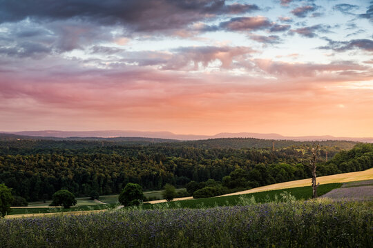 Landscape over fields and forests, elevated view, Nussbaum, Germany