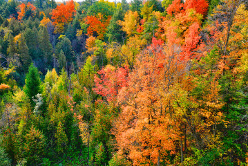 High-angle view of the river valley of the National Park in autumn. The colourful outdoor scene