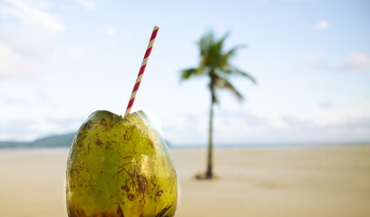 Iced coconut on a deserted beach with a small coconut tree in the background