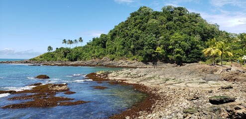 Fototapeta na wymiar Sea landscape with trees and sky - Ilhéus, Bahia - Brazil