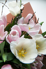 White and pink tulips . Bouquet of pink tulip