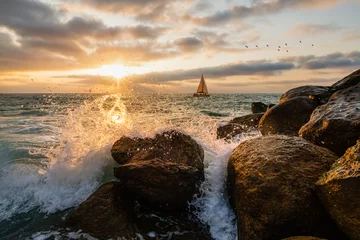 Küchenrückwand glas motiv Sunset Ocean Sailboat Sailing © mexitographer