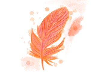 An orange colored isolated feather on a white background. Watercolor with stains.