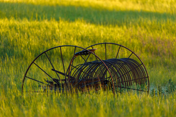 Hay rake in field of tall grass in evening light, Palouse agricultural region of Eastern Washington...