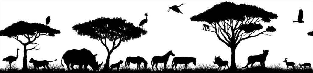 Vector horizontal seamless tropical african savannah with lions, zebra, vulture, heron, hyena, common warthog, rhinoceros, cheetah, gazelle, monkey, African ostrich and crowned crane