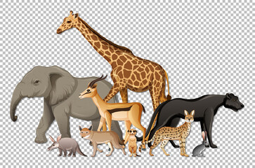 Fototapeta premium Group of wild african animals on transparent background
