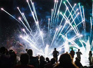 Group of people watching fireworks display at night